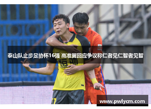 泰山队止步足协杯16强 高准翼回应争议称仁者见仁智者见智