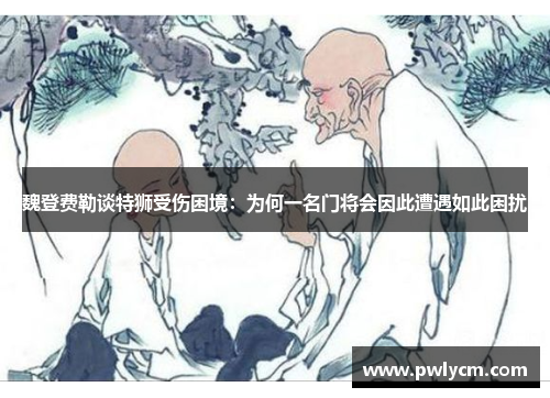 魏登费勒谈特狮受伤困境：为何一名门将会因此遭遇如此困扰